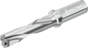 D5142-03-17.00F20-F - Doppelseitige Wechselplatten-Bohrer - /images/D5142-03-18-00F19-G_P_MV_AD.png