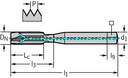 7021345-M6 - HSS-E-PM Maschinen-Gewindebohrer - /images/P_TR_PTEX-7021345-ZV_D_01.png