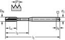 TD217-M3-CG-WY80AA