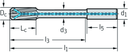 F2481TMS-7