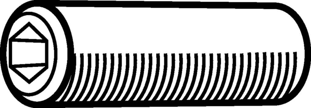 FS2024