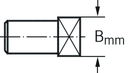 FS554