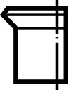 RS101