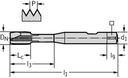 S2126302-M8X1