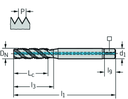TC120-M10-C1-WW60AG