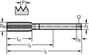 21368-M14X1