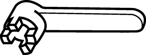 FS439