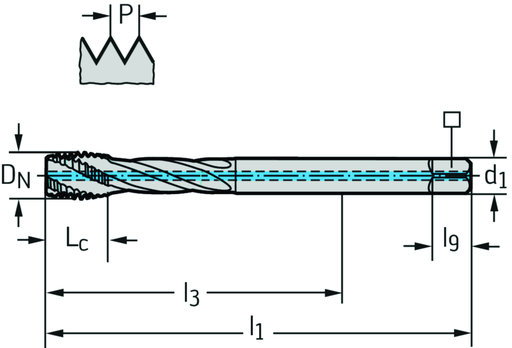 TC121-M12-L1-WW60RG